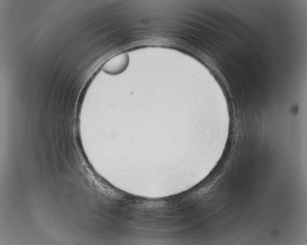 X0000114410845200911271524