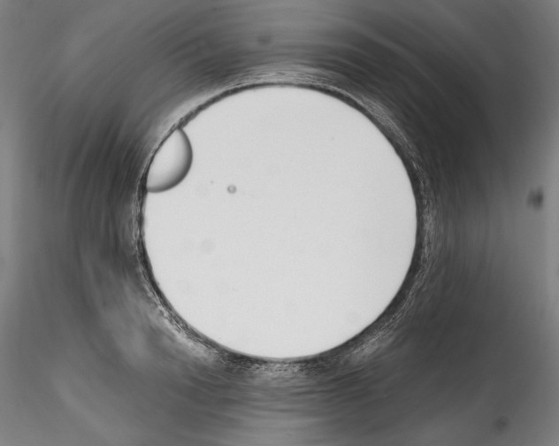 X0000114410846200911271524