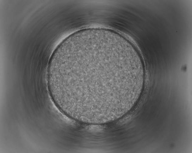 X0000114410847200911271524