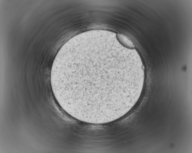 X0000114410849200911271524