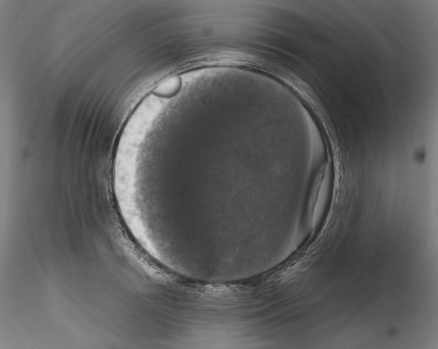 X0000114410850200911271524