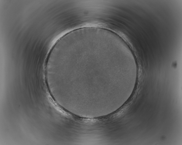 X0000114410854200911271524