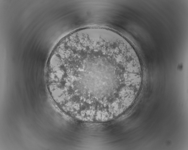 X0000114410856200911271524