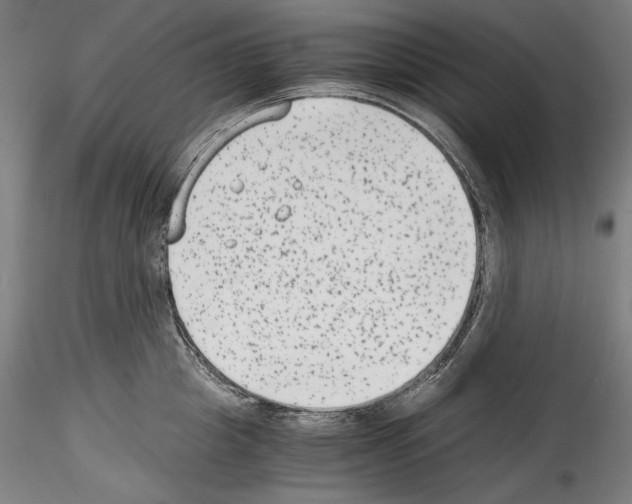 X0000114410857200911271524