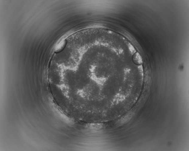 X0000114410858200911271524