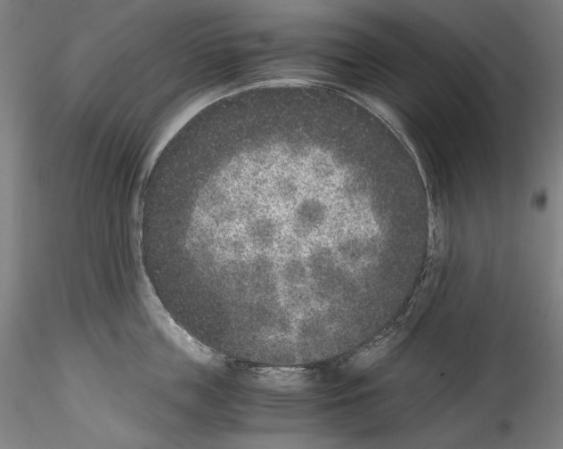 X0000114410859200911271524