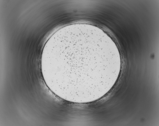 X0000114410860200911271524