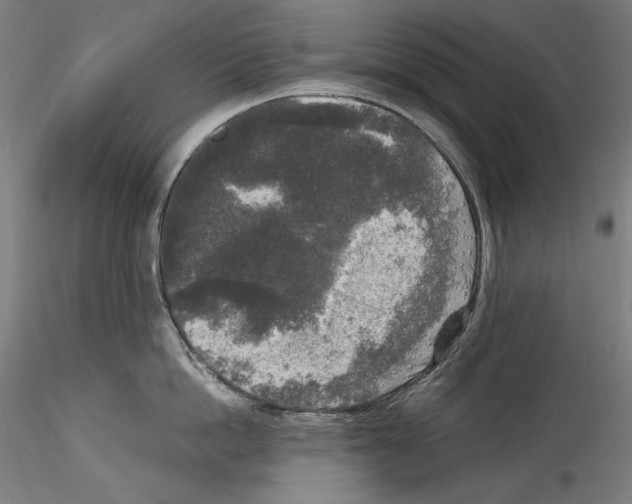 X0000114410862200911271524