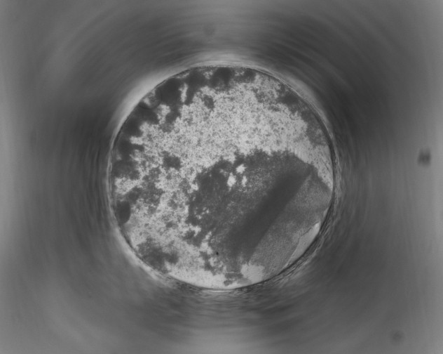 X0000114410863200911271524