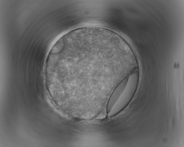 X0000114410864200911271524