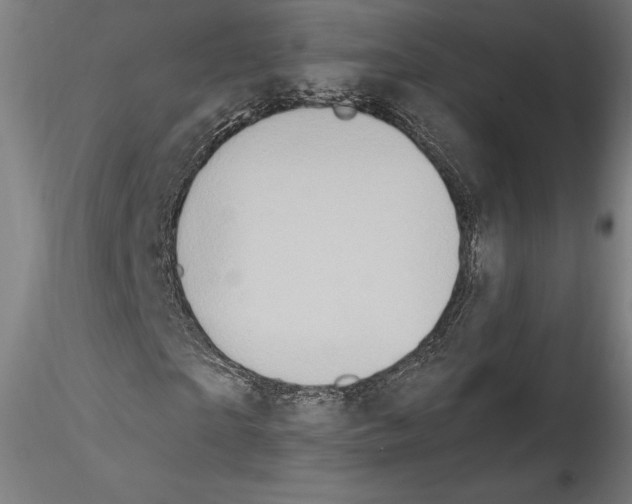 X0000114410865200911271524