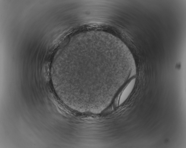 X0000114410868200911271524