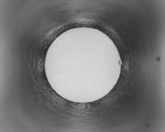 X0000114410869200911271524