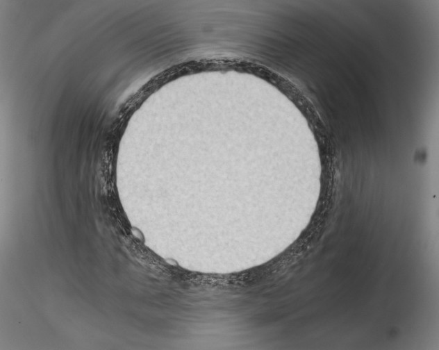 X0000114410871200911271524