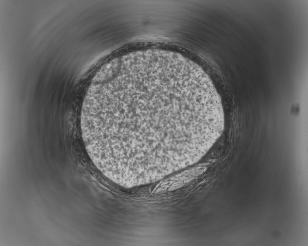 X0000114410872200911271524