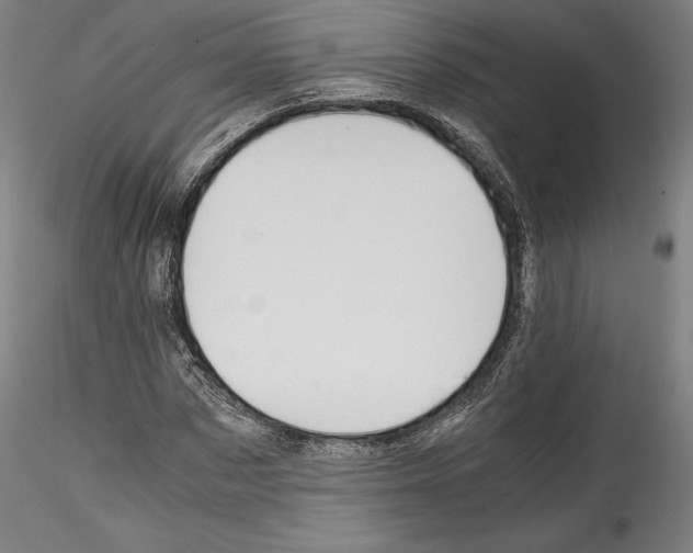 X0000114410873200911271524