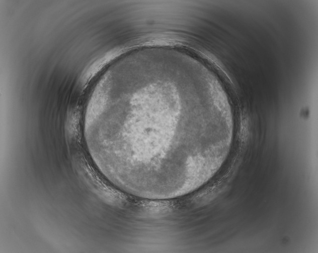 X0000114410874200911271524