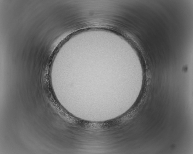 X0000114410875200911271524