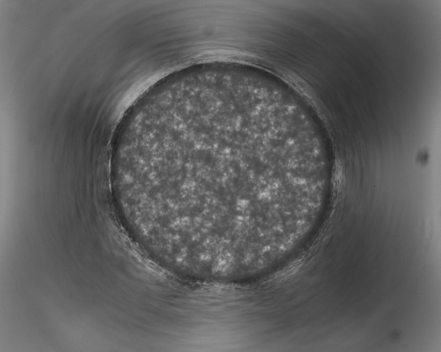 X0000114410877200911271523