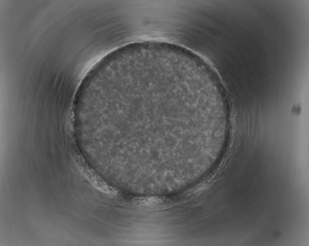 X0000114410879200911271523