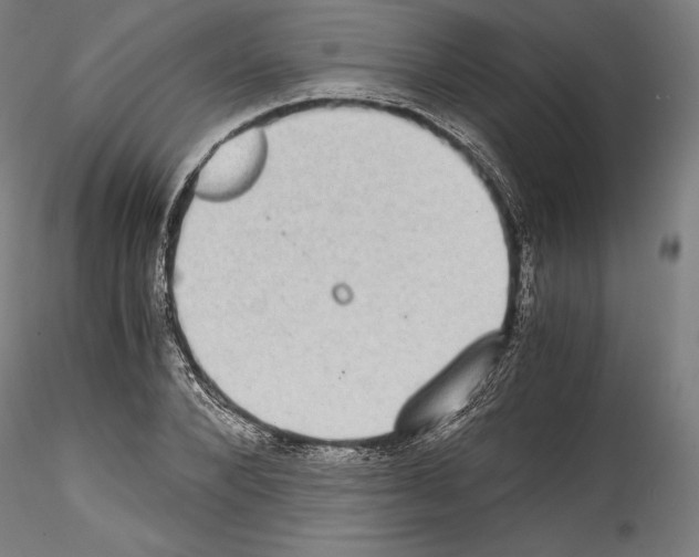 X0000114410880200911271523