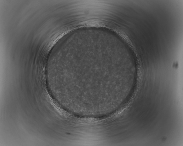 X0000114410881200911271523