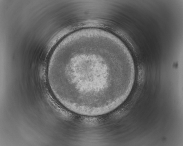 X0000114410882200911271523