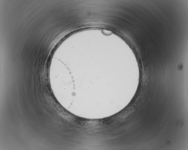 X0000114410883200911271523