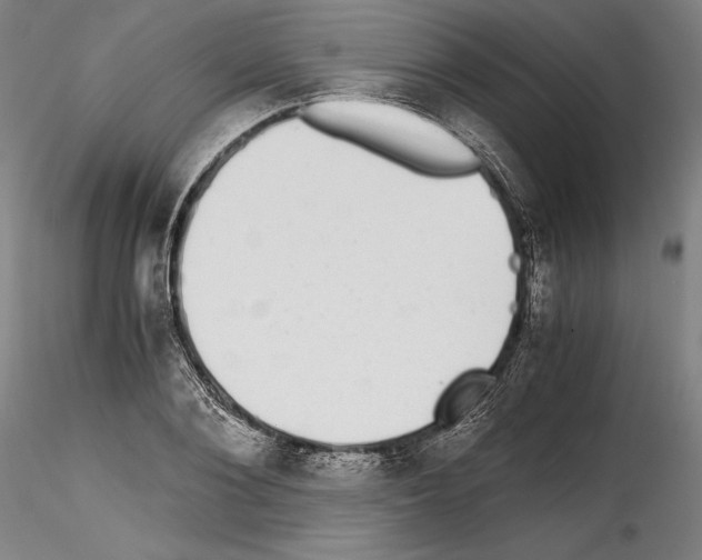 X0000114410884200911271523