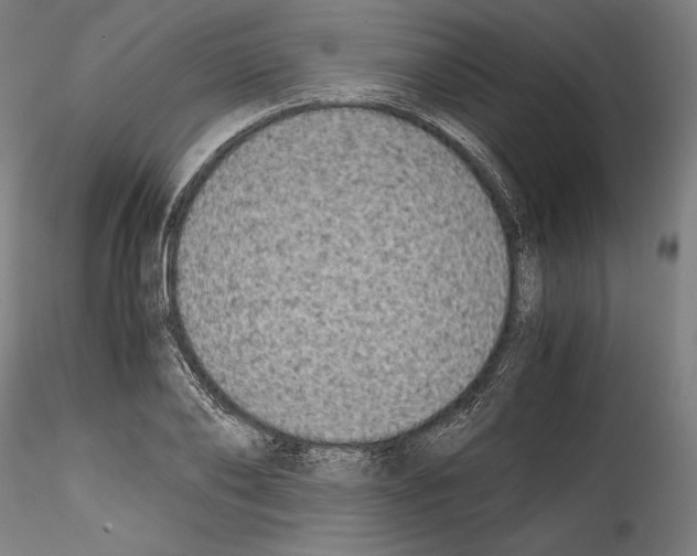 X0000114410886200911271523