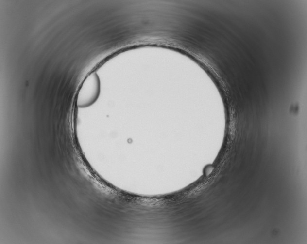 X0000114410888200911271523