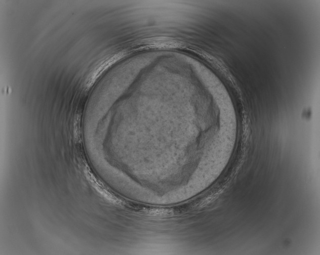 X0000114410889200911271523