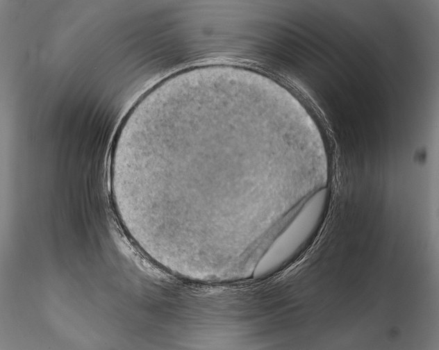 X0000114410892200911271523