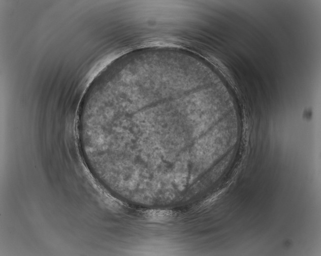 X0000114410893200911271523