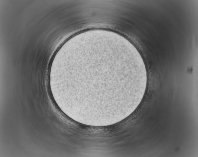 X0000114410895200911271523