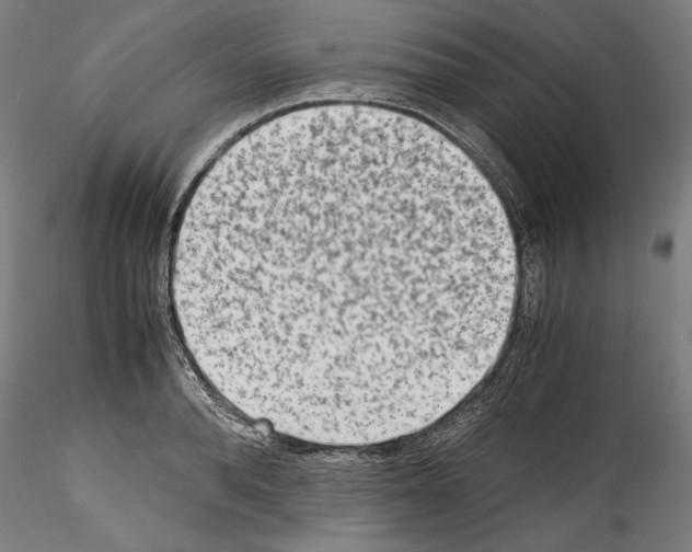 X0000114410896200911271523