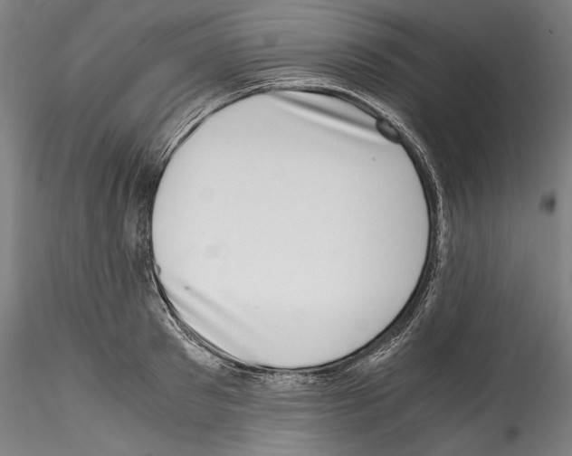 X0000114410897200911271523