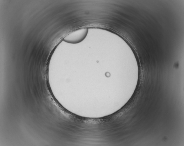 X0000114410898200911271523