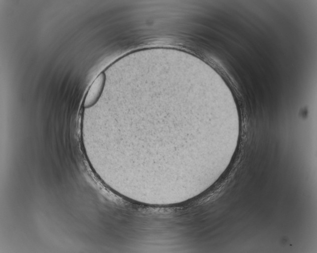 X0000114410900200911271523