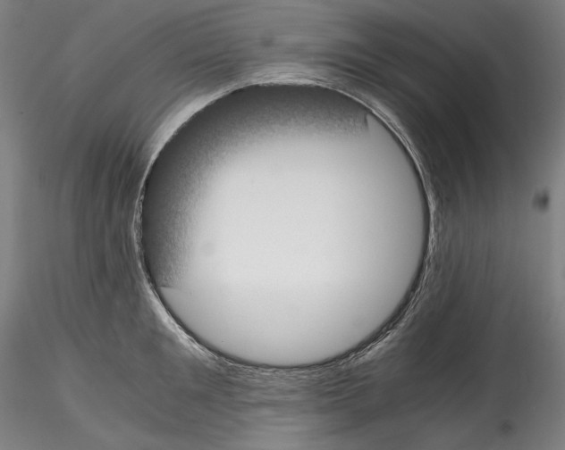 X0000114410901200911271523