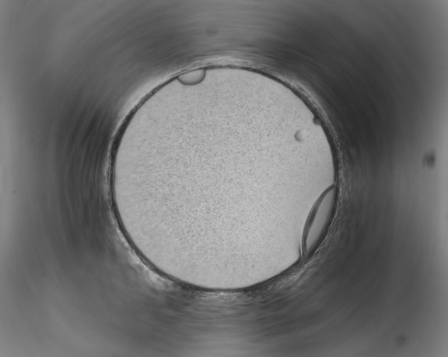 X0000114410902200911271523