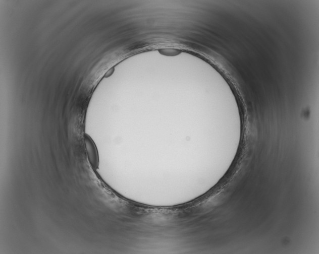 X0000114410905200911271523