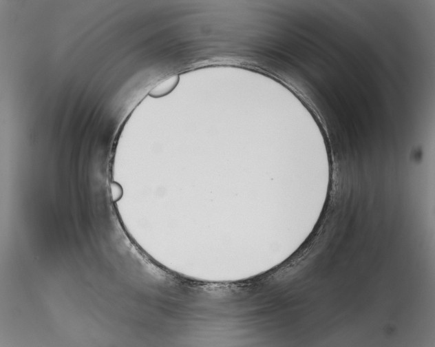 X0000114410906200911271523