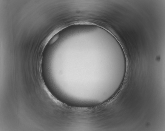 X0000114410909200911271523