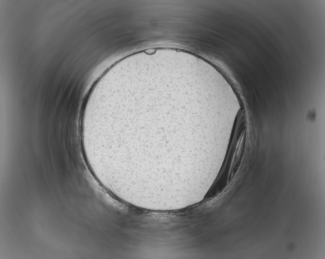 X0000114410910200911271523