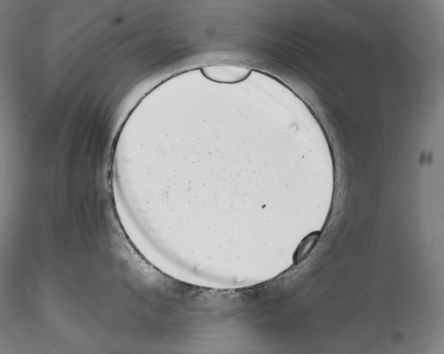 X0000114410912200911271523