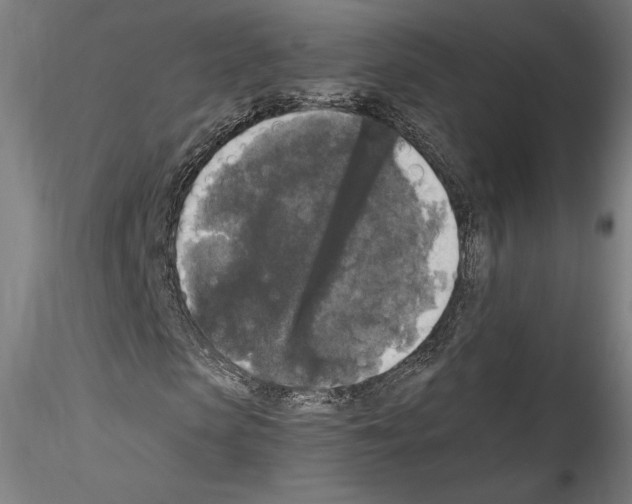 X0000114410913200911271522