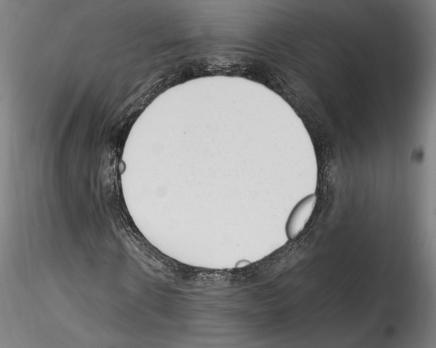 X0000114410914200911271522