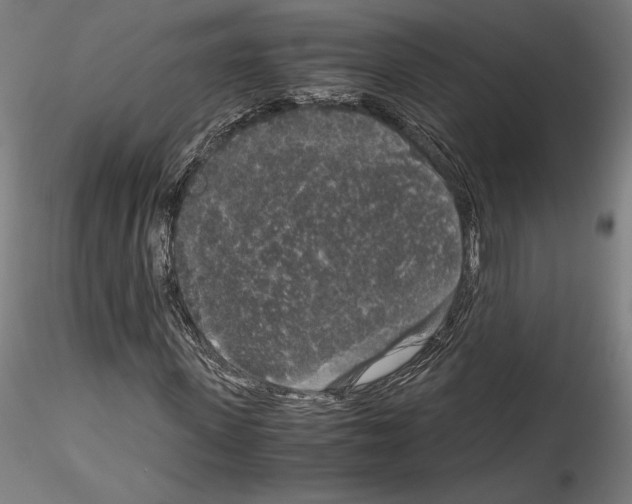 X0000114410915200911271522