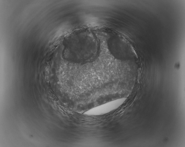 X0000114410917200911271522